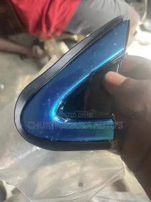 Mirror Paddle Rx350 2015