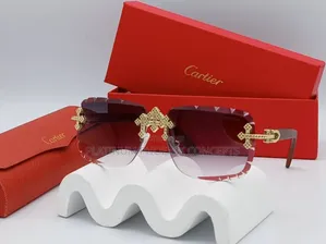 Fashion Cartier Glasses Full Boxed