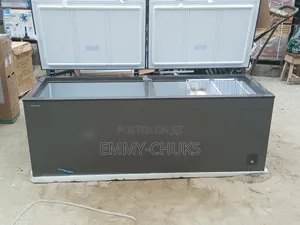 Hisense 702l Deep Freezer