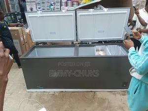 Hisense Deep Freezer Double Door 702l