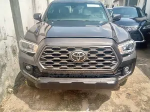 Toyota Tacoma 2019 Gray