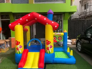 Bouncing Castle
