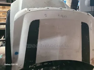 Bonnet F-150 2010