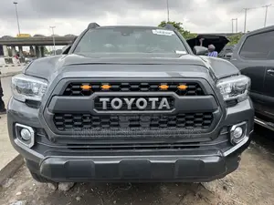 Toyota Tacoma Limited 2019 Gray