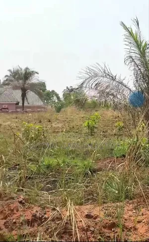 50x100sq,Meter:Land for Sale at Mbutu Okahia.