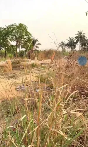50x100sq,Meter: Land for Sale at Nkwutu in Azuowu Farm.