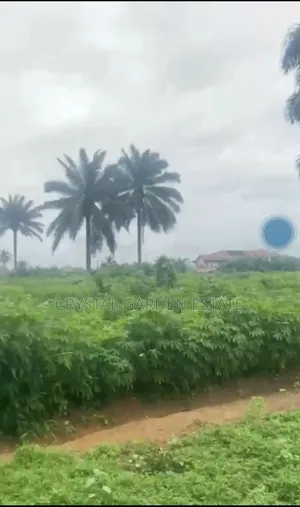 50x100sq, Meter: Land for Sale at Amaike Ezzamgbo.