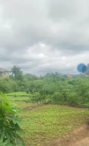 50x100sq, Meter: Land for Sale at Amaike Ezzamgbo.