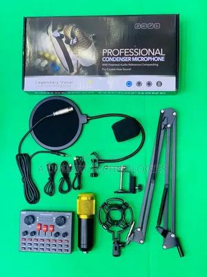 Bm800 Professional Condenser Microphone With V8 Sound