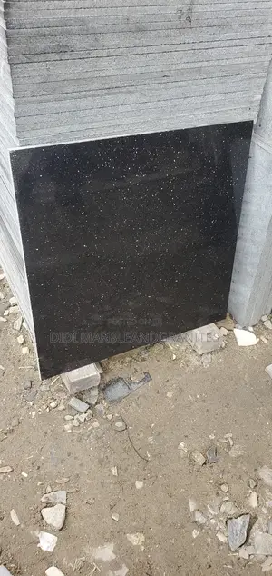 Black Galaxy Granite Tiles 60x60
