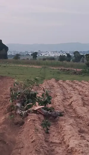 3 Hectares Land With Fcda Rofo Building Approval 4 Sale at New Pasali
