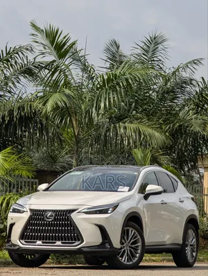 Lexus NX 2024 White