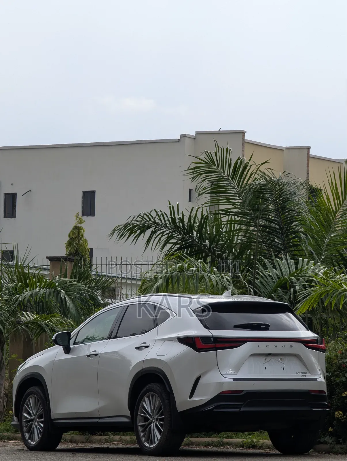 Lexus NX 2024 White