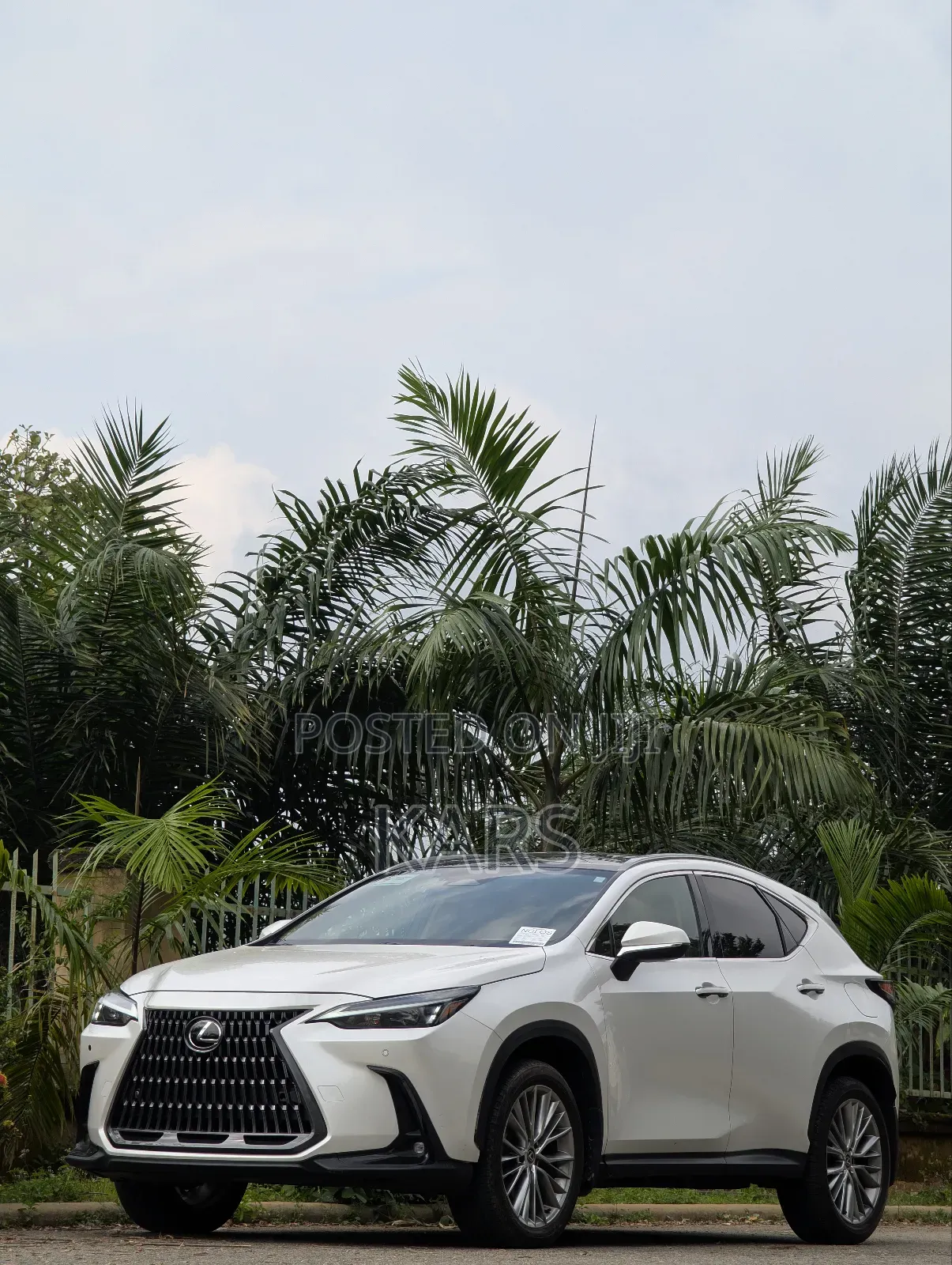 Lexus NX 2024 White