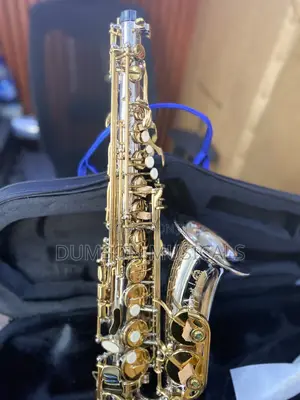 Henri Selmer Paris Gold/Silver Alto Saxophone