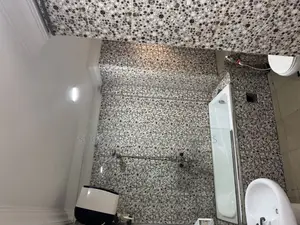 Professional Cleaning Service /Deep Toilet Cleaning