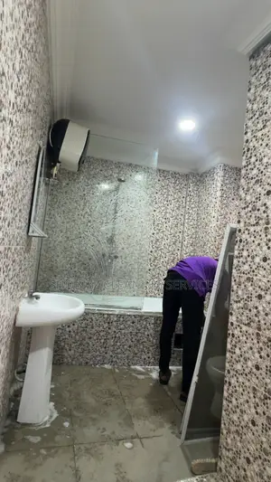 Professional Cleaning Service /Deep Toilet Cleaning
