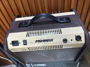 Fishman Loud Box Mini Amplifier (Combo)
