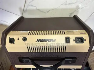 Fishman Loud Box Mini Amplifier (Combo)