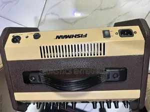 Fishman Loud Box Mini Amplifier (Combo)