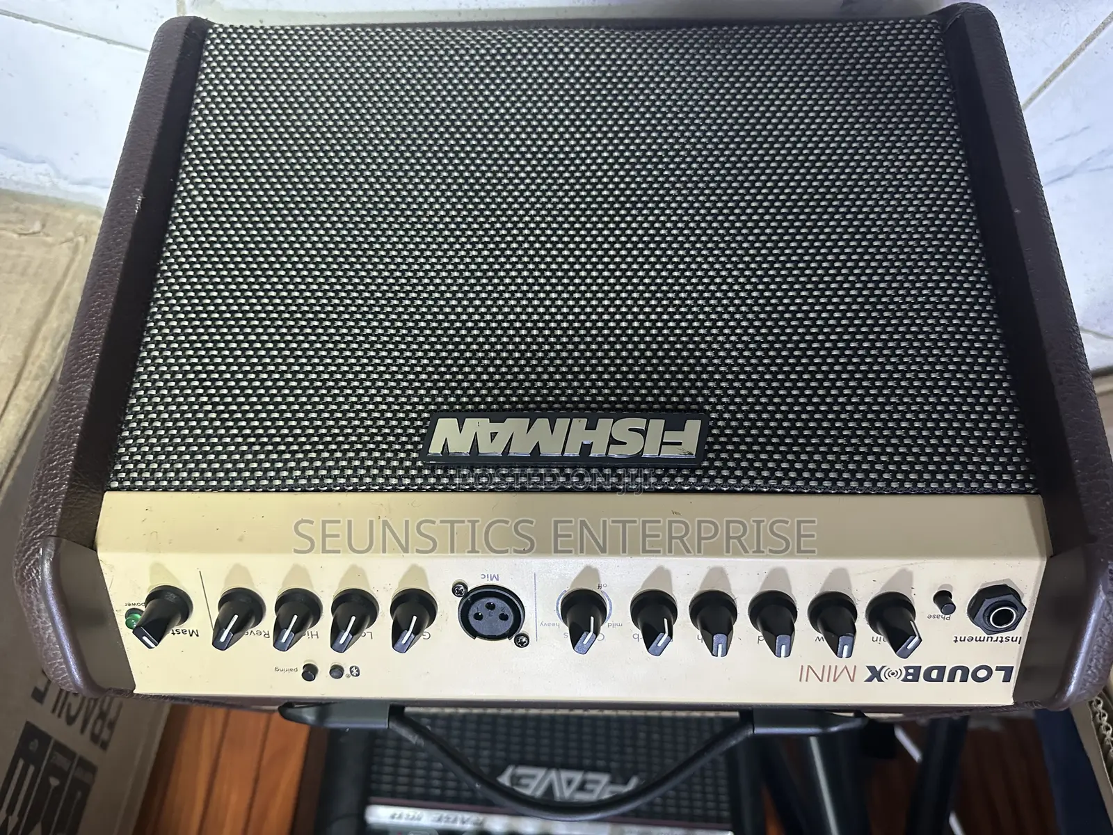Fishman Loud Box Mini Amplifier (Combo)