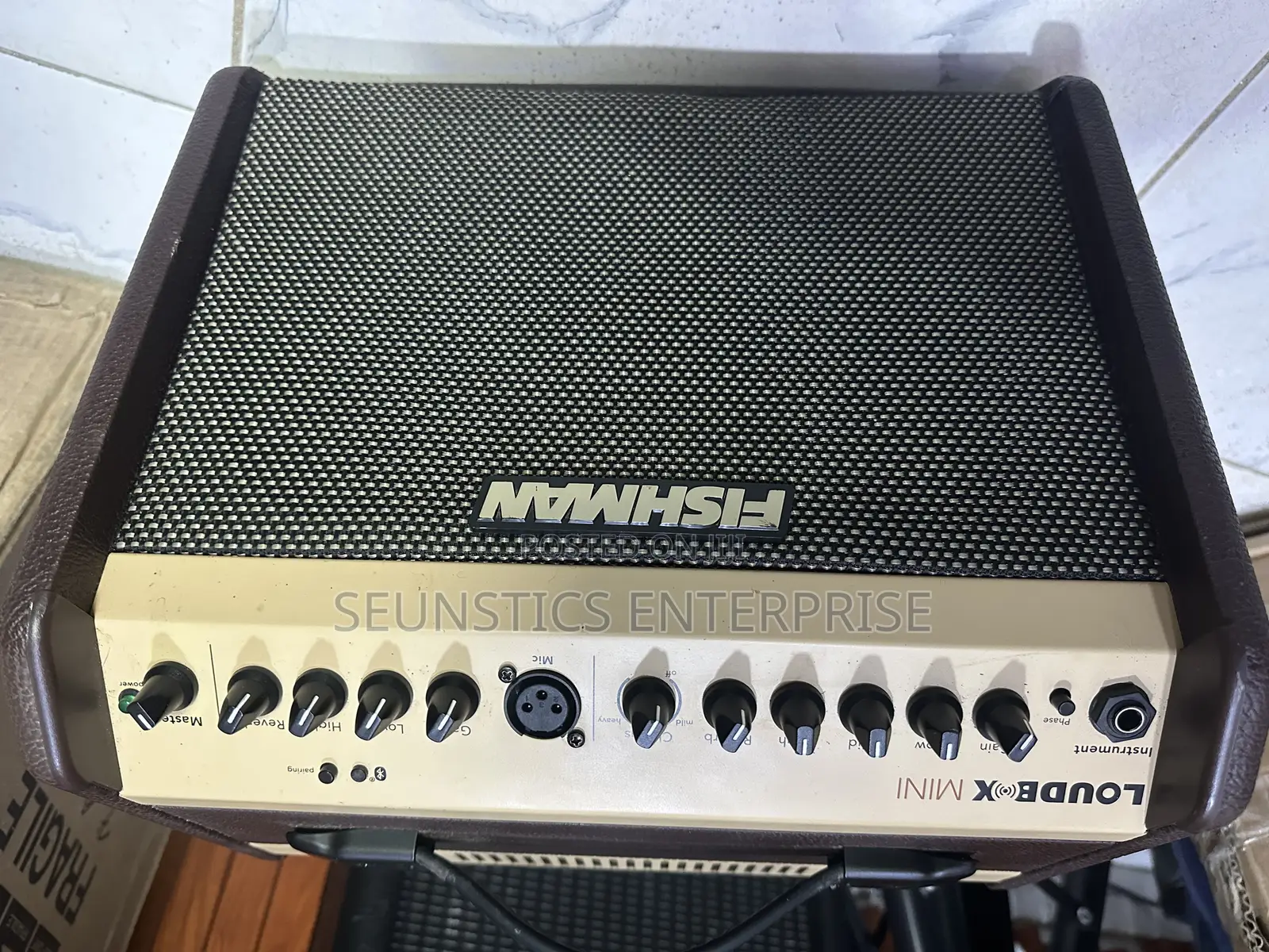 Fishman Loud Box Mini Amplifier (Combo)