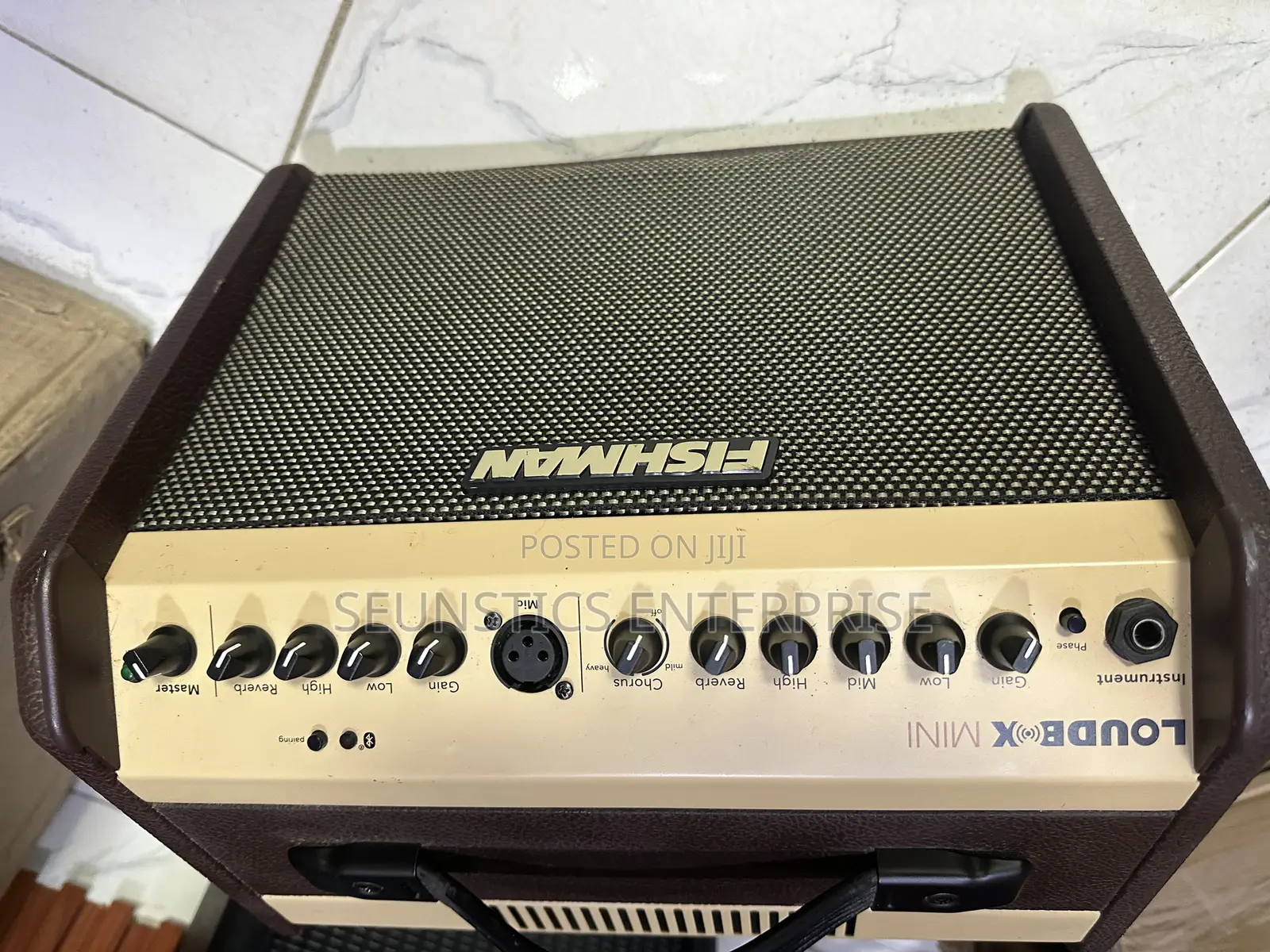 Fishman Loud Box Mini Amplifier (Combo)