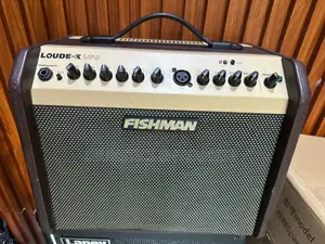 Fishman Loud Box Mini Amplifier (Combo)