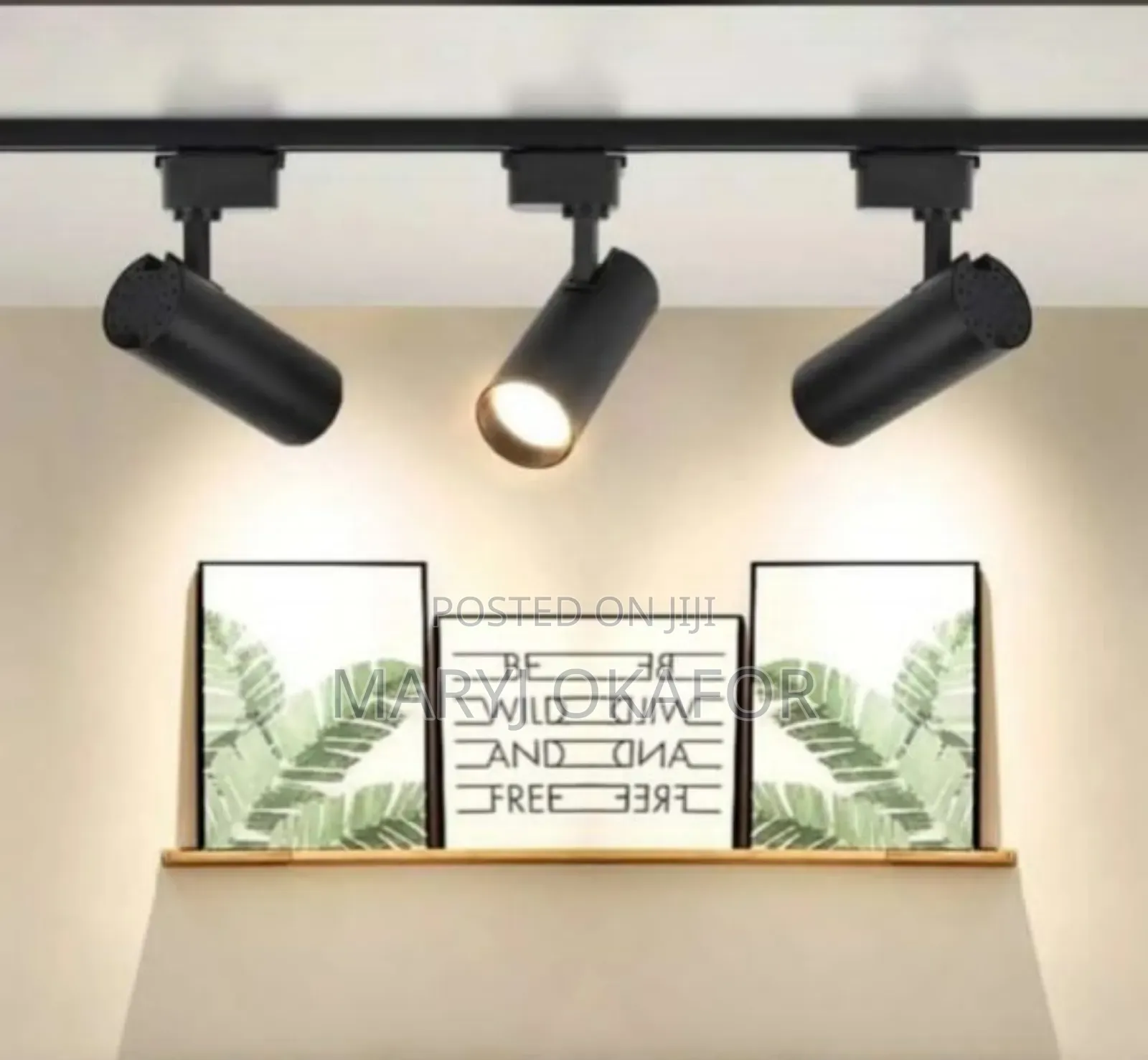Track Light