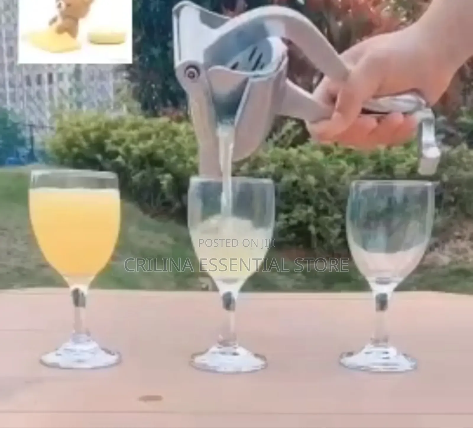 Fruit Press