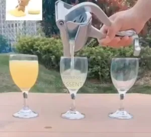 Fruit Press
