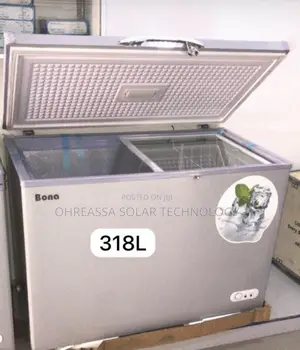 Solar Ac/Dc Freezer 318l