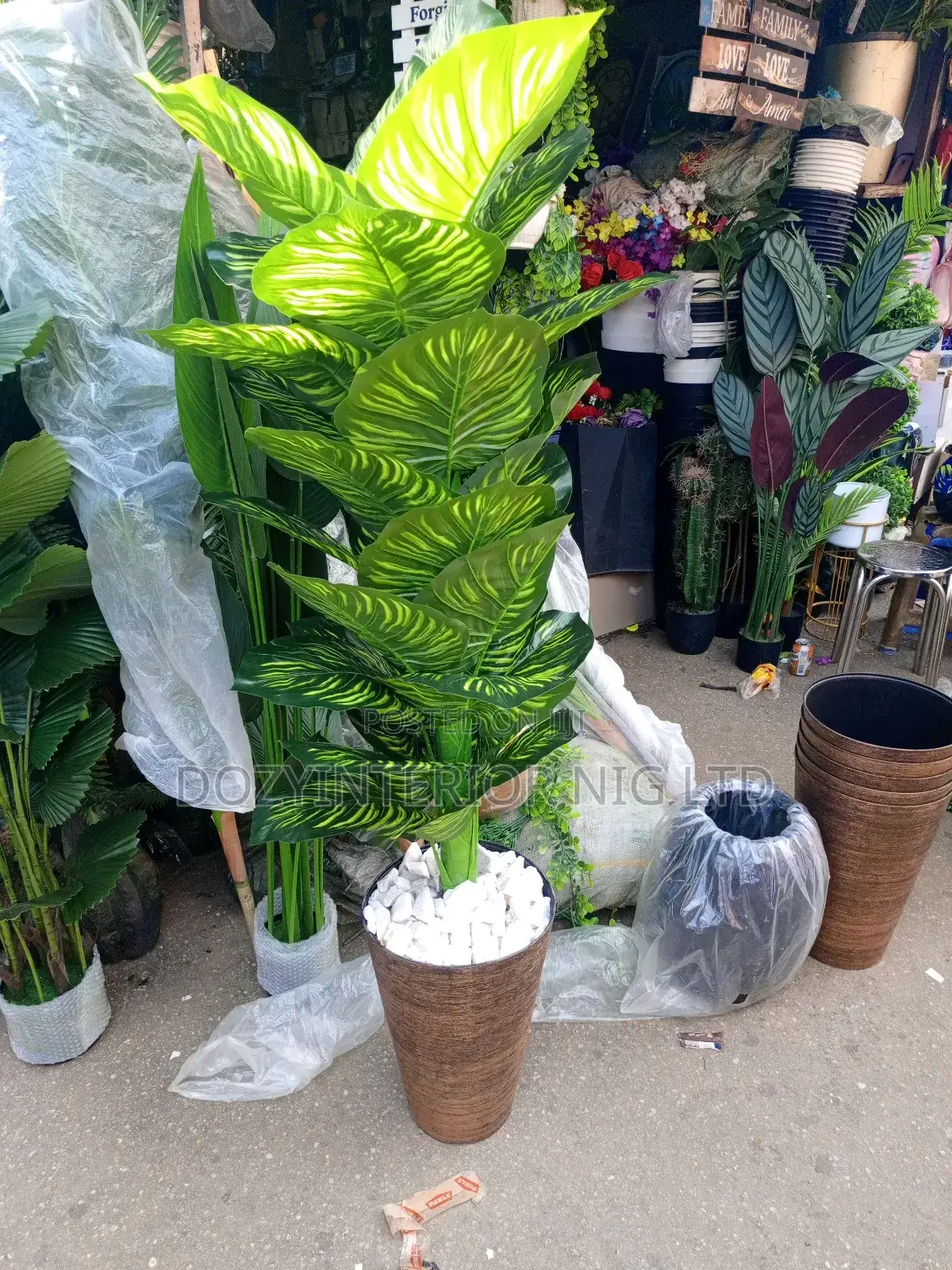 Planter and Flower