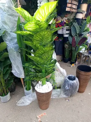 Planter and Flower