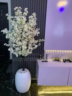 Cherry Blossom Plant