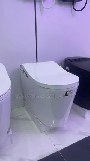 New Ideal Executive Censor Wc