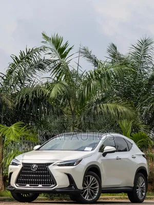 Lexus NX 2024 White