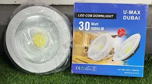 30wat Led Cob Downlight