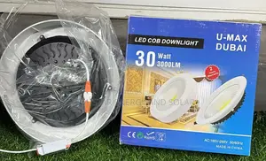 30wat Led Cob Downlight