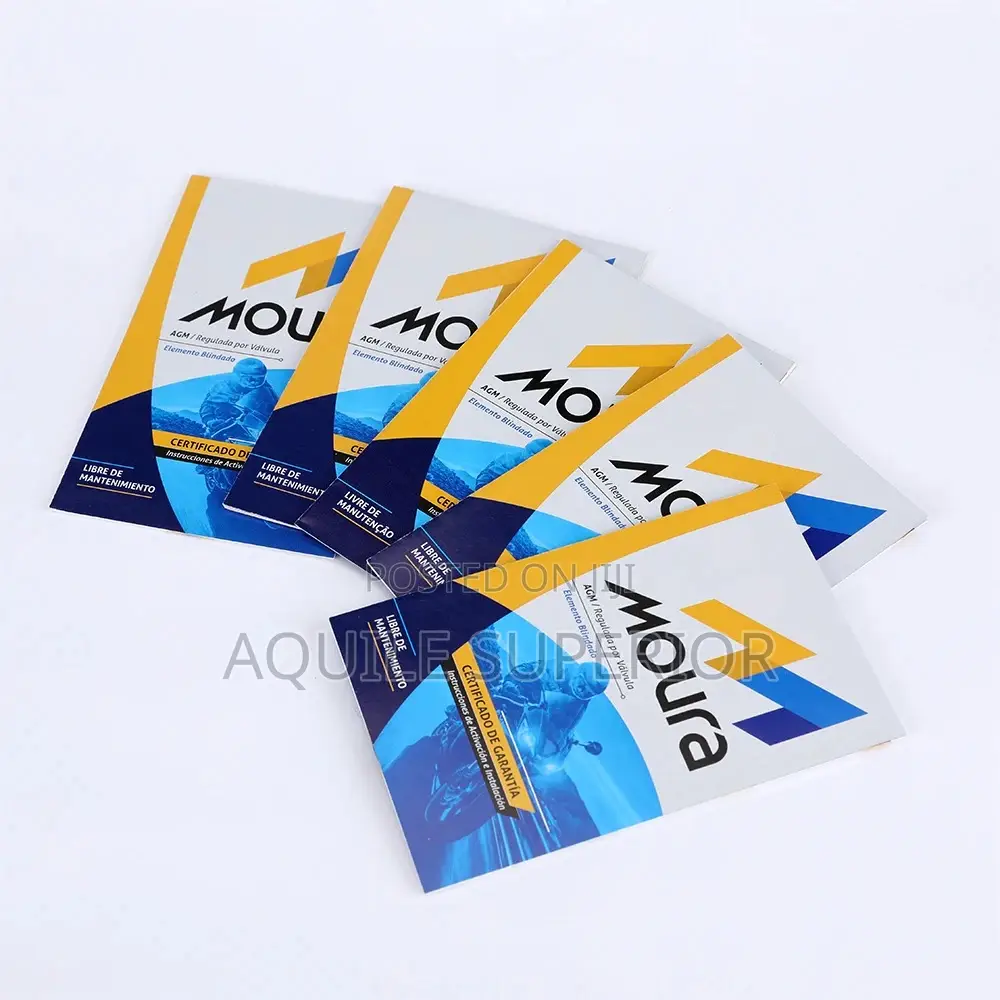 Z Fold Brochure Branding