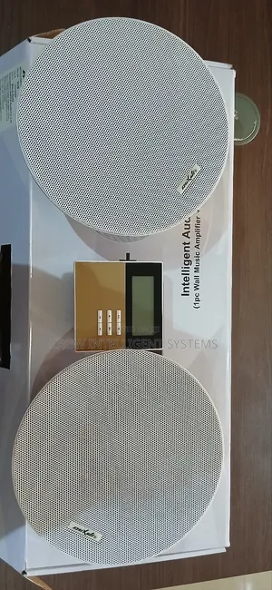 Intelligent Bluetooth Ceiling Speaker