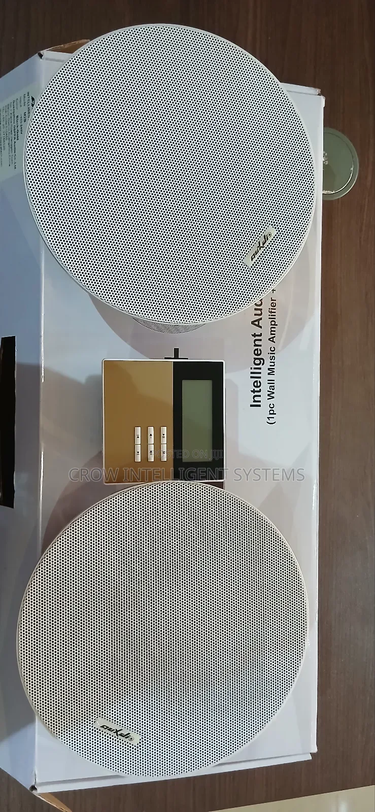 Intelligent Bluetooth Ceiling Speaker