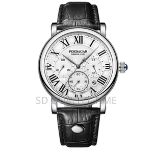 Poedagar Chronographic Leather Watch