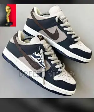 Nike Sb Air