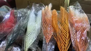 Feather Flowers