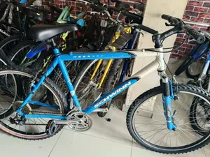 Size 26 See Schwinn High Frame
