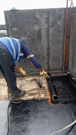 Lollapalooza Waterproofing Expert