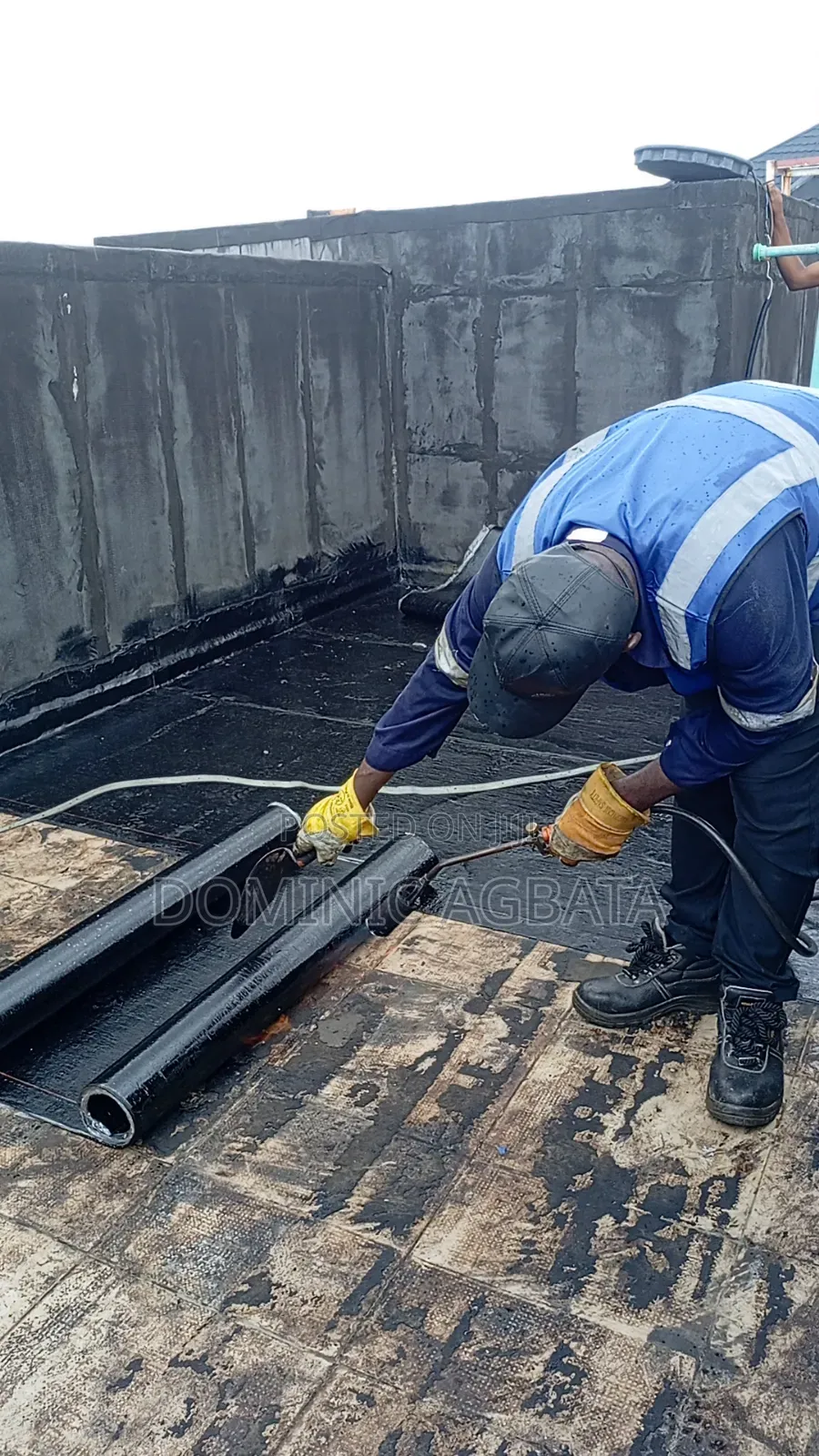 Lollapalooza Waterproofing Expert