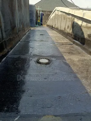 Sockdolager Waterproofing Professor