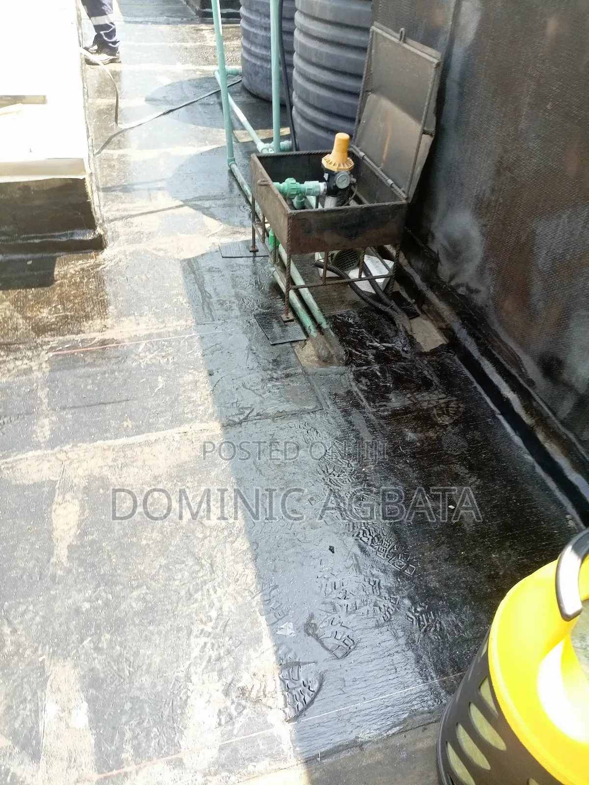 Sockdolager Waterproofing Professor